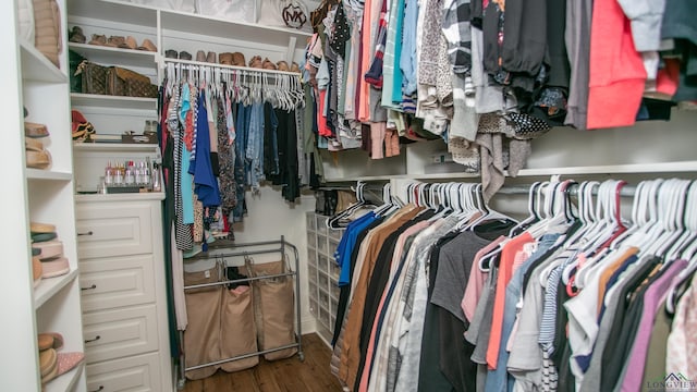 spacious closet featuring dark hardwood / wood-style floors