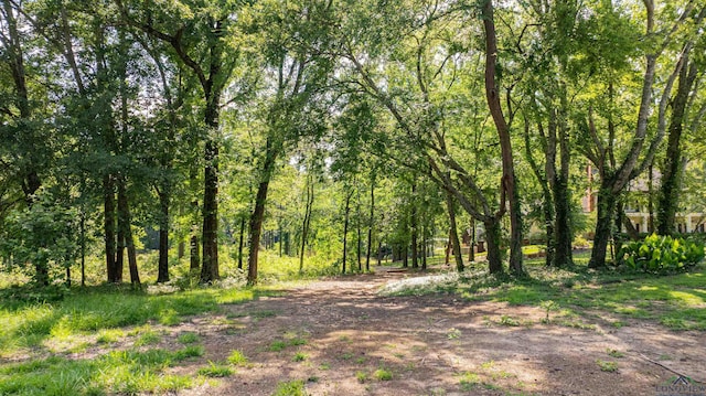 3 Bridle Path, Longview, TX 75605
