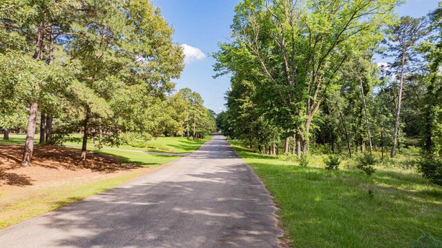 3 Bridle Path, Longview, TX 75605