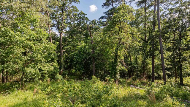3 Bridle Path, Longview, TX 75605