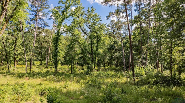 3 Bridle Path, Longview, TX 75605