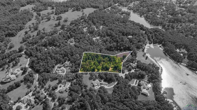 3 Bridle Path, Longview, TX 75605