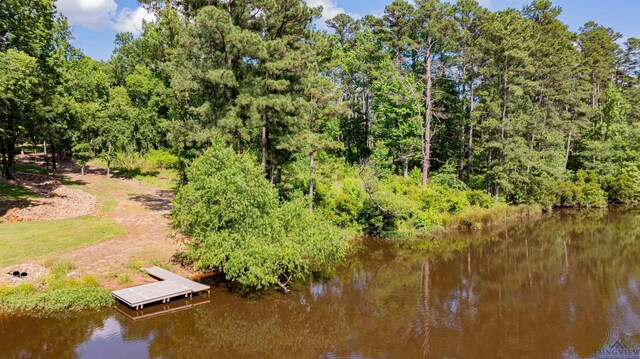 3 Bridle Path, Longview, TX 75605