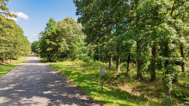3 Bridle Path, Longview, TX 75605