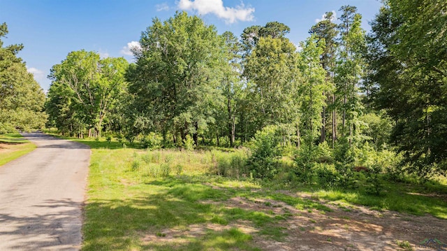 3 Bridle Path, Longview, TX 75605