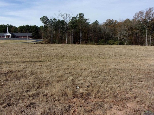 1530 S U S Highway 59, Jefferson, TX 75657 - photo 3