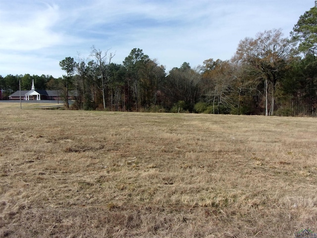 1530 S U S Highway 59, Jefferson, TX 75657 - photo 1