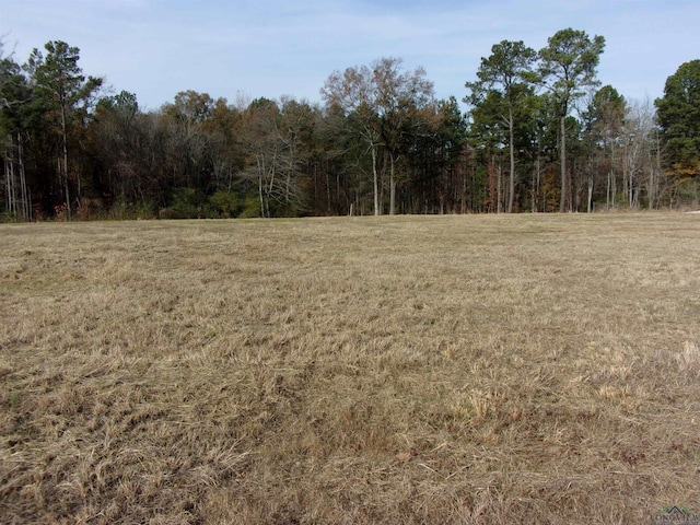 1530 S U S Highway 59, Jefferson, TX 75657 - photo 4