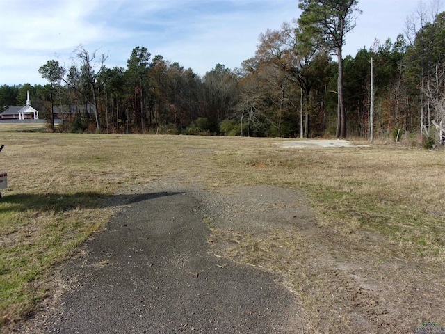 1530 S U S Highway 59, Jefferson, TX 75657 - photo 8
