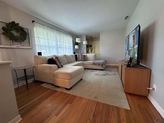 living room with wood-type flooring