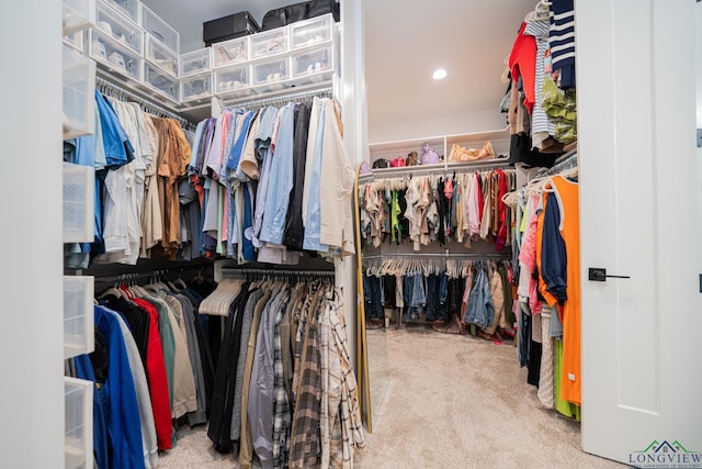 spacious closet featuring carpet