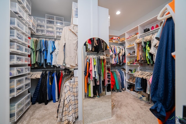 spacious closet featuring light carpet