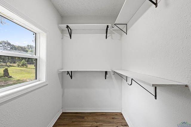 spacious closet featuring dark wood-type flooring