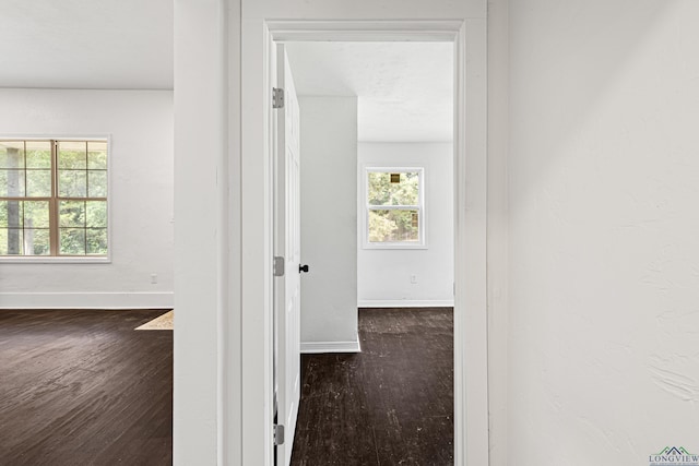 hallway featuring dark wood-type flooring