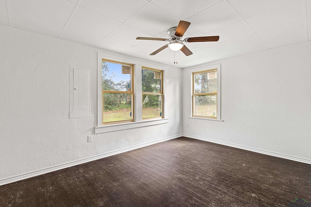 empty room featuring hardwood / wood-style flooring, ceiling fan, and electric panel