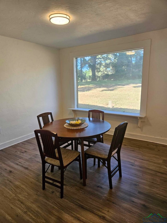 dining space with dark hardwood / wood-style flooring and plenty of natural light