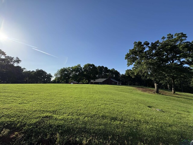68 County Road 1130, Daingerfield, TX 75638 - photo 10