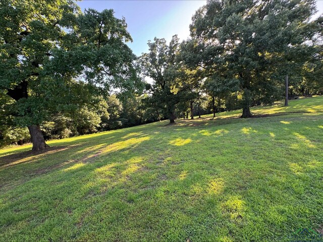 68 County Road 1130, Daingerfield, TX 75638 - photo 9