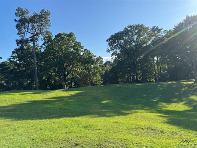 68 County Road 1130, Daingerfield, TX 75638 - photo 7