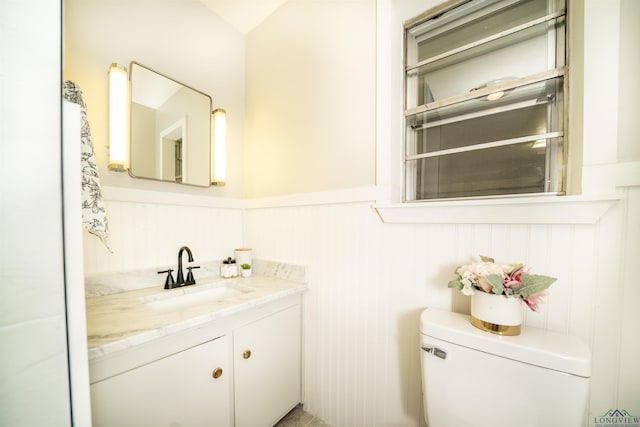 bathroom with toilet and vanity