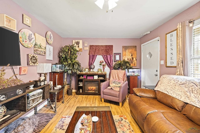 living room with ceiling fan and light hardwood / wood-style flooring