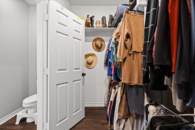 spacious closet with dark hardwood / wood-style flooring