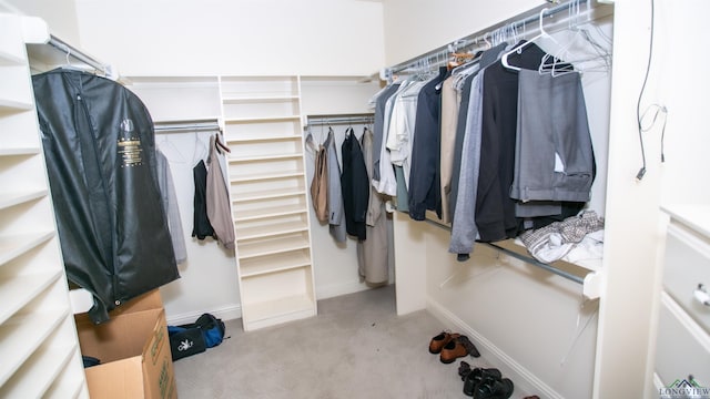 view of spacious closet