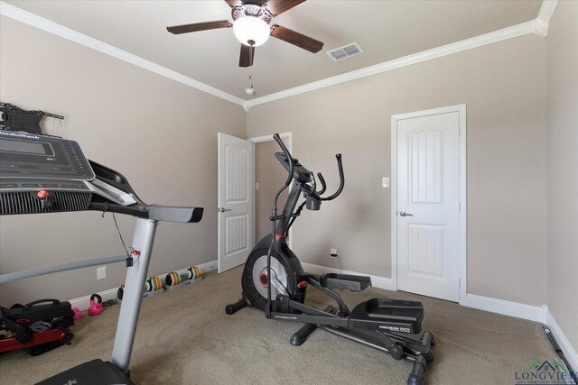 exercise room featuring ceiling fan, carpet, baseboards, visible vents, and ornamental molding