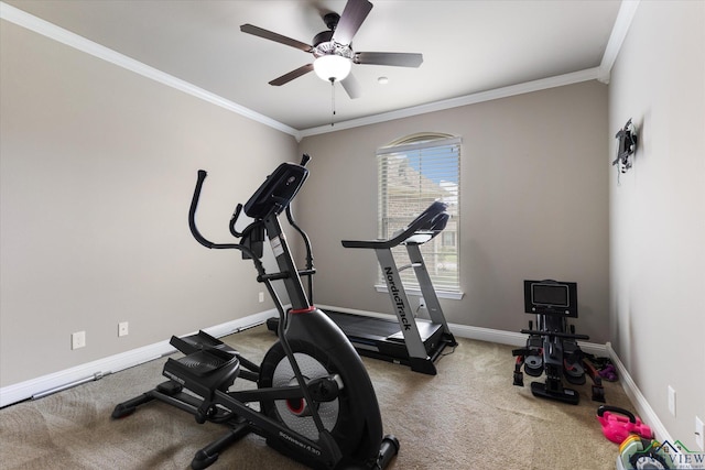 workout room featuring crown molding, a ceiling fan, baseboards, and carpet