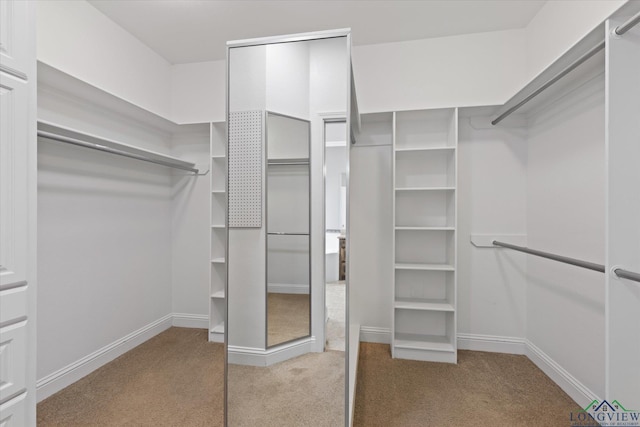 3363 Celebration Way, Longview, TX 75605 - spacious closet with carpet floors