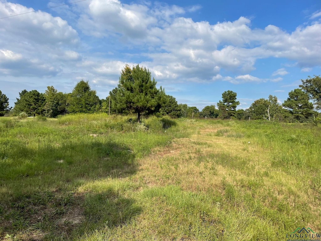 TBD2.8AC N Point Pleasant Rd, Gladewater, TX 75647 - photo 4