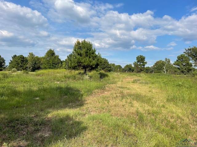 TBD2.8AC N Point Pleasant Rd, Gladewater, TX 75647 - photo 4