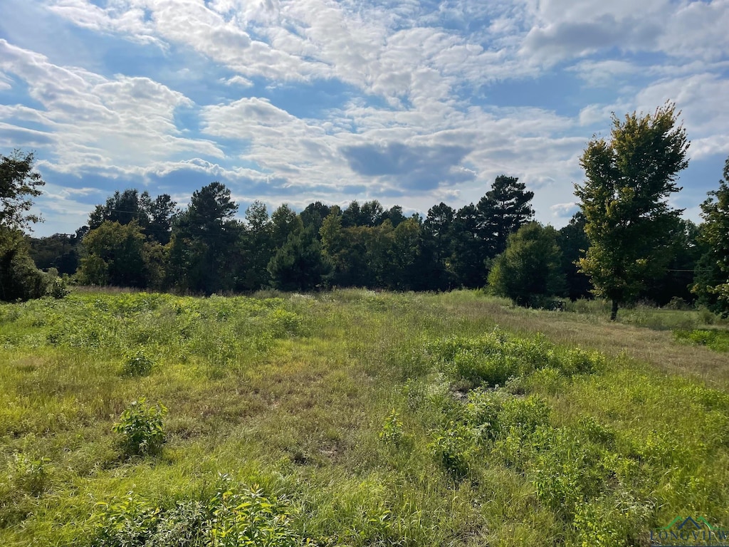 TBD2.8AC N Point Pleasant Rd, Gladewater, TX 75647 - photo 1