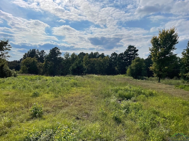 TBD2.8AC N Point Pleasant Rd, Gladewater, TX 75647 - photo 1