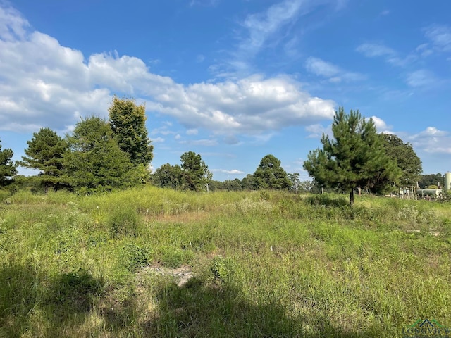 TBD2.8AC N Point Pleasant Rd, Gladewater, TX 75647 - photo 2