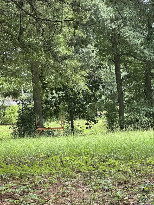 1115 Roy, Kilgore, TX 75662 - photo 2
