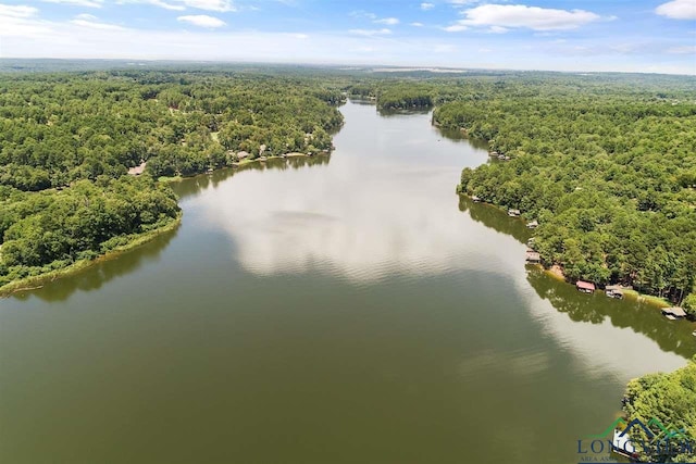 drone / aerial view with a water view and a view of trees