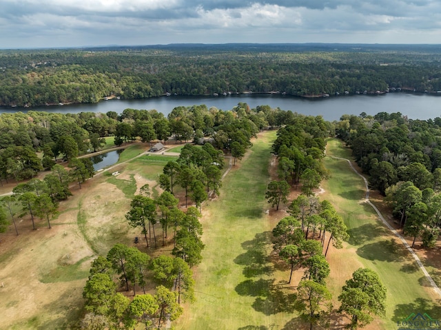 drone / aerial view featuring a water view and a view of trees