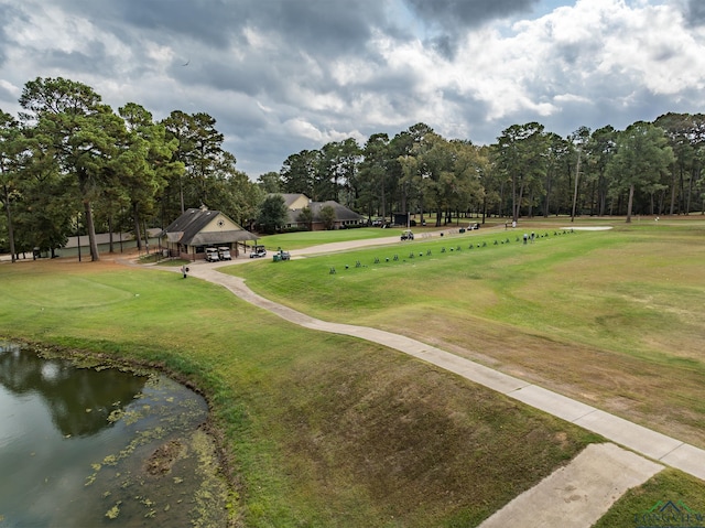 view of community with a yard