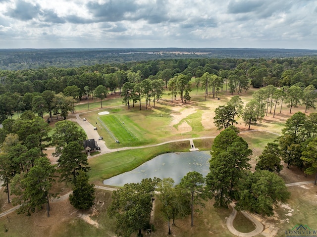 birds eye view of property with a forest view and a water view