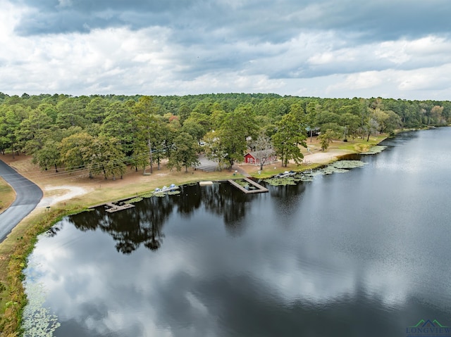 drone / aerial view with a water view and a view of trees