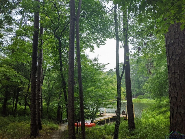 view of water feature with a forest view