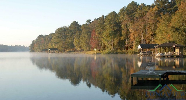 water view with a boat dock and a forest view