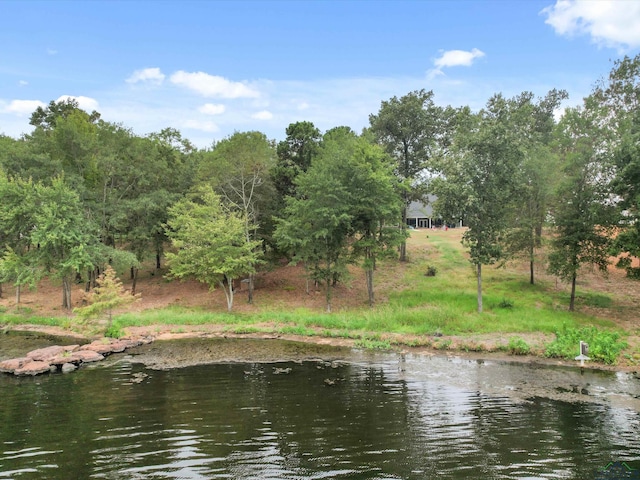 view of water feature