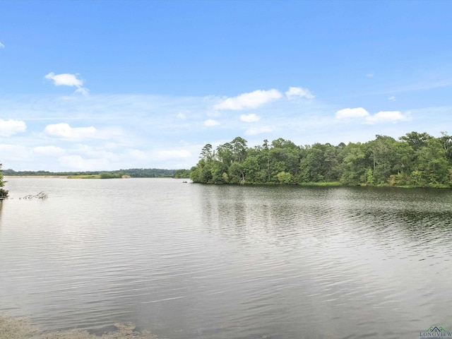 view of water feature