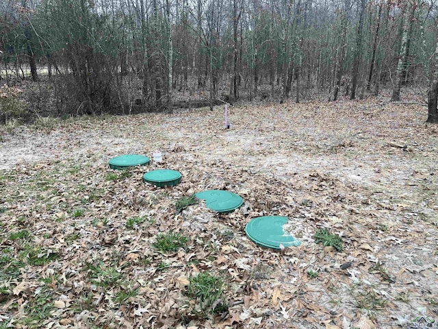 view of yard with a wooded view