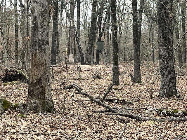 view of local wilderness