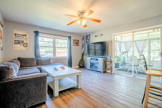 living room featuring ceiling fan and light wood-type flooring