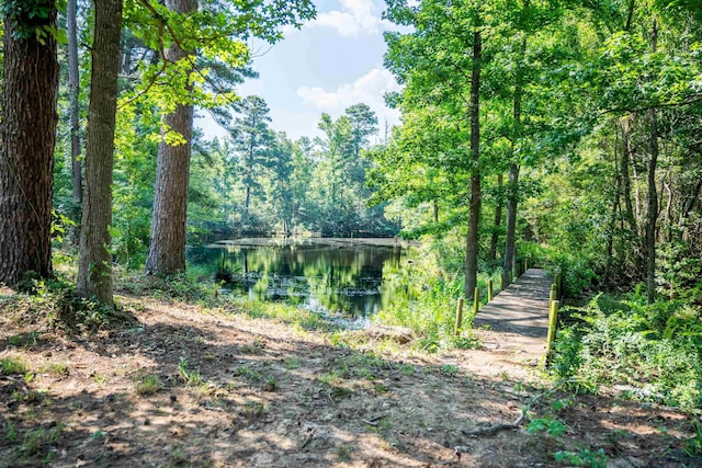 view of local wilderness with a water view