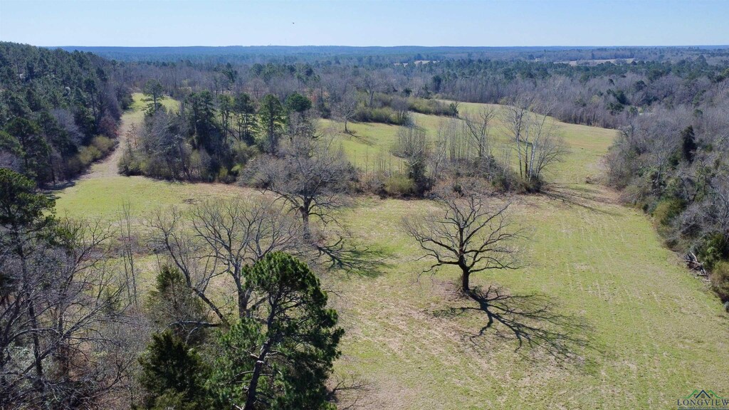 TBD Highway 11, Hughes Springs, TX 75656 - photo 1